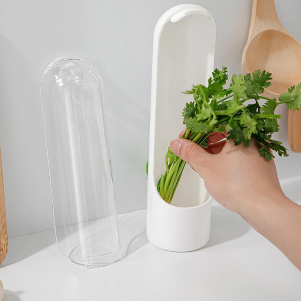 New Herb Saver Storage Container Fresh Keeper Vanilla Vegetables Fresh Preservation Bottle for Refrigerator Kitchen Gadgets